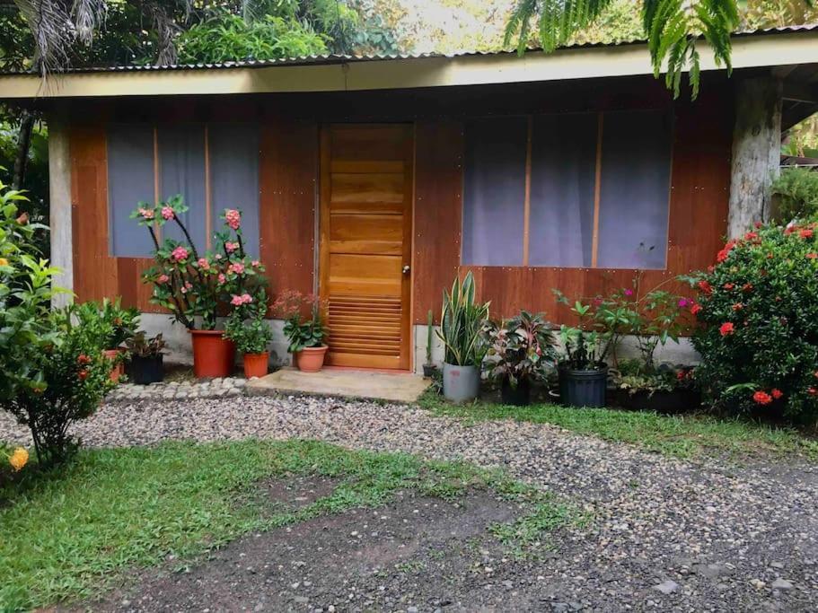 Appartement Casa Sol à Puerto Jiménez Extérieur photo